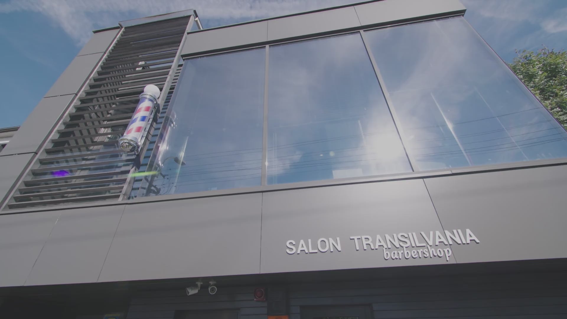 Încarcă clipul video: salon-transilvania-presentation